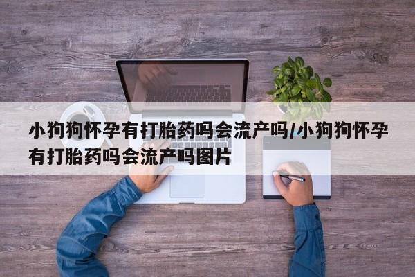 购买米非司酮片打胎药微信小狗狗怀孕有打胎药吗会流产吗/小狗狗怀孕有打胎药吗会流产吗图片