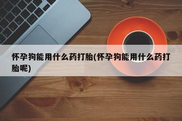 购买米非司酮片打胎药微信怀孕狗能用什么药打胎(怀孕狗能用什么药打胎呢)
