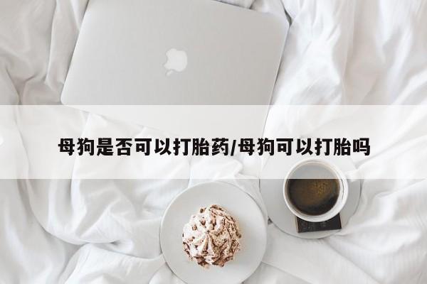 购买米非司酮片打胎药微信母狗是否可以打胎药/母狗可以打胎吗